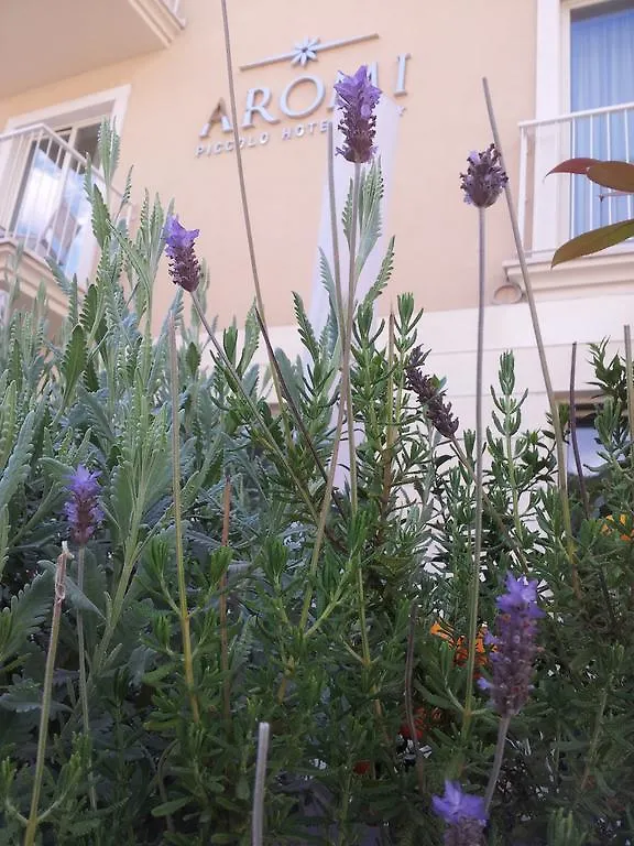Aromi Piccolo Hotel Saló Italia